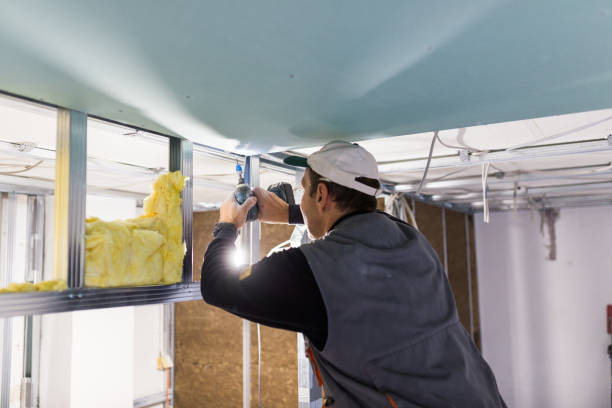 Types of Insulation We Offer in Rosemead, CA